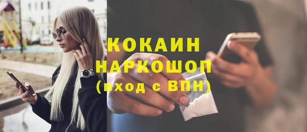индика Армянск