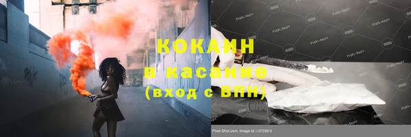 крисы Арсеньев