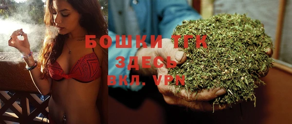 крисы Арсеньев