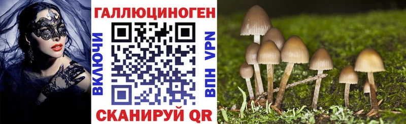 Галлюциногенные грибы прущие грибы  Краснослободск 